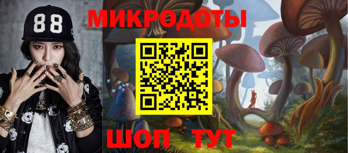 Михайловка  Псилоцибиновые грибы Magic Shrooms  Псилоцибиновые грибы Psilocybe  Вход с VPN 